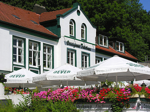 Foto Häuser in Övelgönne - Hamburg