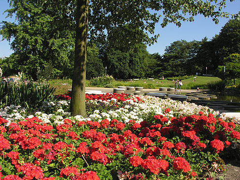 Foto Planten un Blomen - Gärten