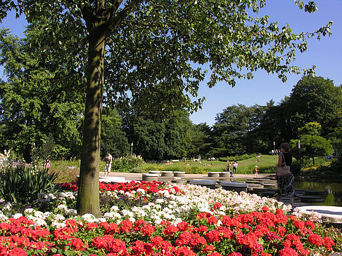 Fotos Planten un Blomen - Gärten