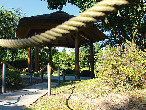 Foto Planten un Blomen - Japanischer Garten - Hamburg