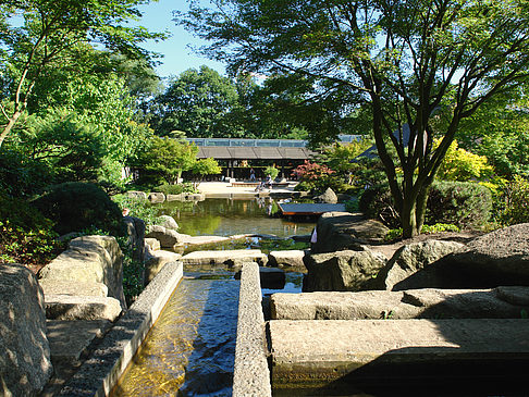 Planten un Blomen - Japanischer Garten
