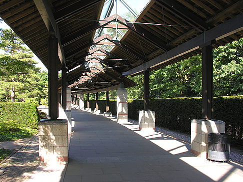 Fotos Planten un Blomen - Japanischer Garten