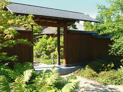 Planten un Blomen - Japanischer Garten Fotos