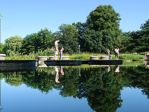 Fotos Planten un Blomen - Wasserkaskaden | Hamburg
