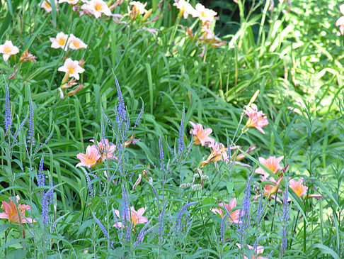 Planten un Blomen - Wasserkaskaden Fotos