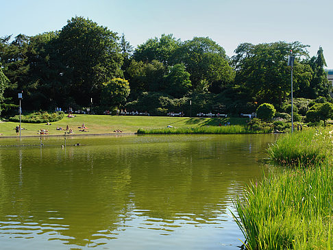 Fotos Planten un Blomen - Wiese am Parksee | Hamburg