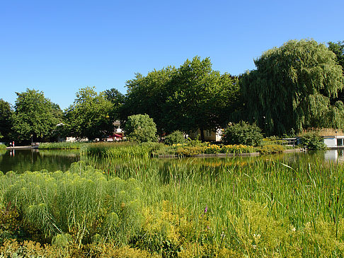 Planten un Blomen - Wiese am Parksee Fotos