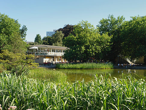 Planten un Blomen - Wiese am Parksee