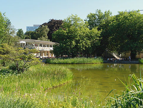 Foto Planten un Blomen - Wiese am Parksee