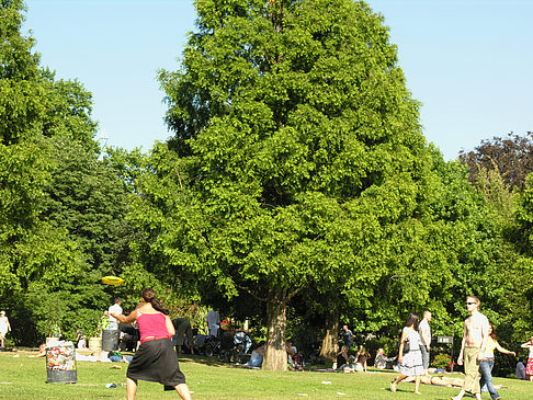 Fotos Planten un Blomen - Wiese am Parksee | Hamburg