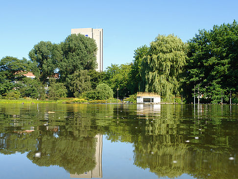 Fotos Planten un Blomen - Wiese am Parksee | Hamburg