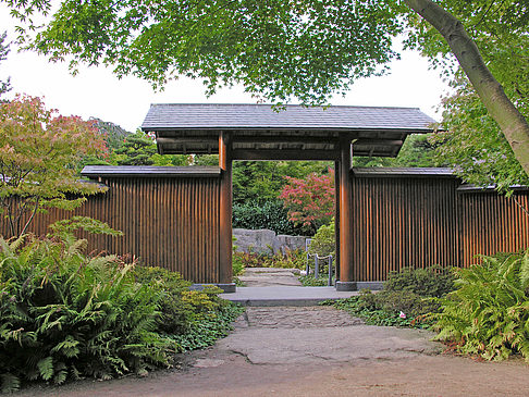 Japanischer Garten Fotos