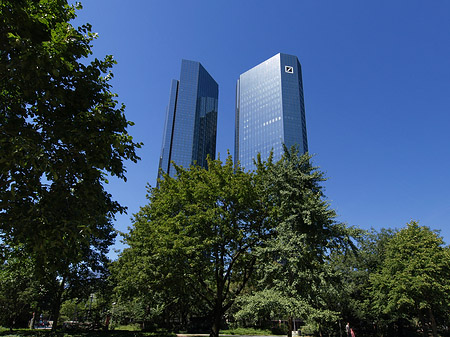 Foto Deutsche Bank mit Bäumen - Frankfurt am Main