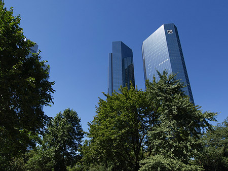 Deutsche Bank mit Bäumen