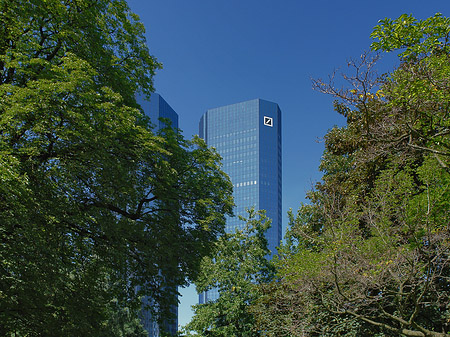 Foto Deutsche Bank mit Bäumen - Frankfurt am Main