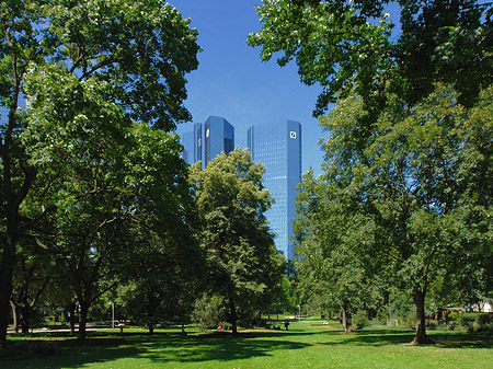 Fotos Deutsche Bank mit Wald | Frankfurt am Main