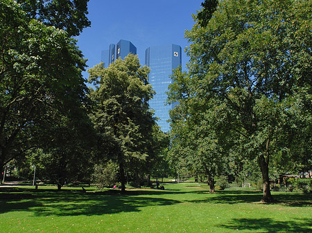 Deutsche Bank mit Wald Foto 