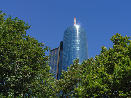 Maintower Fotos