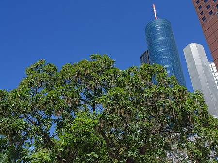 Fotos Maintower