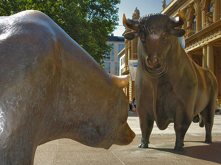 Fotos Bulle und Bär | Frankfurt am Main