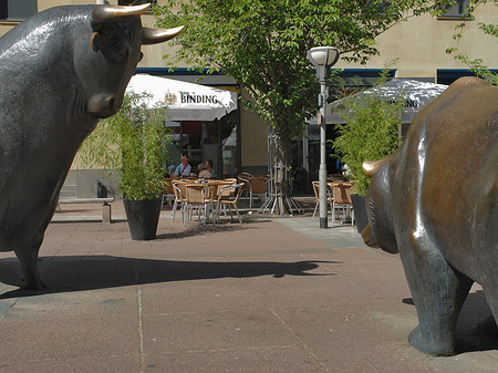 Bulle und Bär Fotos