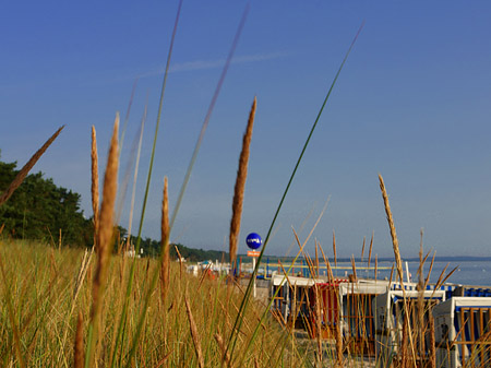 Fotos Dünen