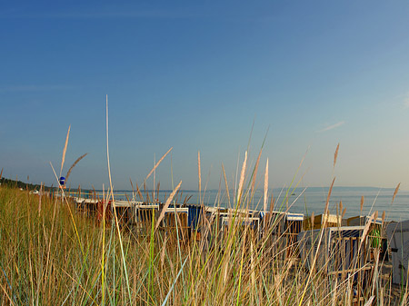 Dünen Foto 