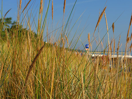 Foto Dünen - Ostseebad Binz
