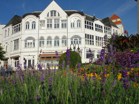 Foto Seebrücke Binz - Ostseebad Binz