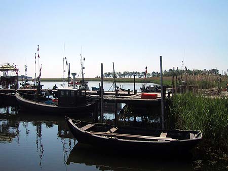 Thiessows kleiner Hafen Fotos