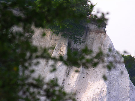 Königsstuhl Kreidefelsen