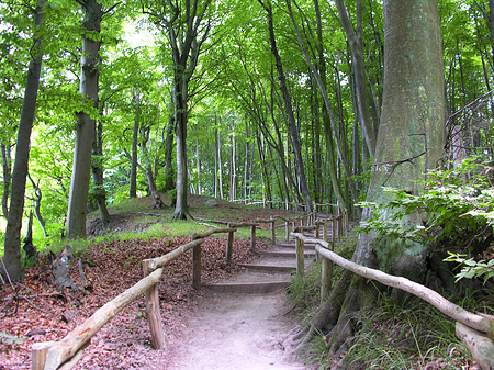 Kreidefelsen Wanderweg Foto 