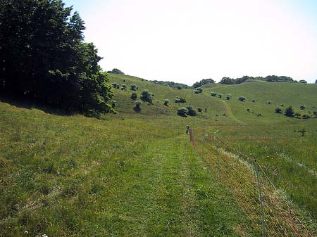 Fotos Landschaften von Thiessow | 