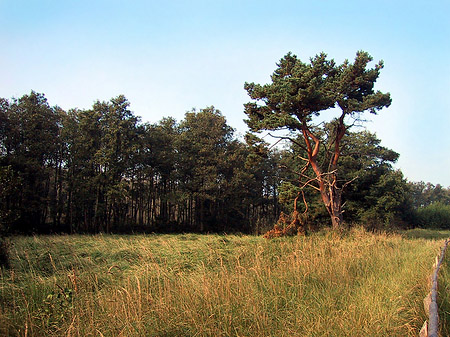 Fotos Trockene Landschaften | 