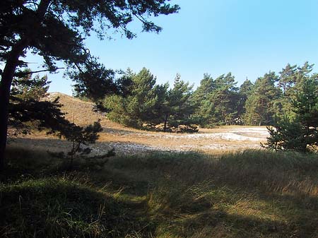 Trockene Landschaften Foto 