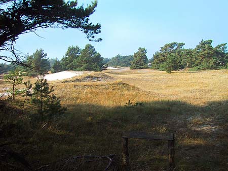 Trockene Landschaften