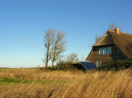 Foto Feld - 