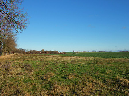 Feld Foto 