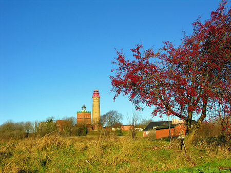 Bäume Foto 