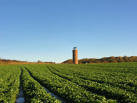 Fotos Turm aus der Ferne