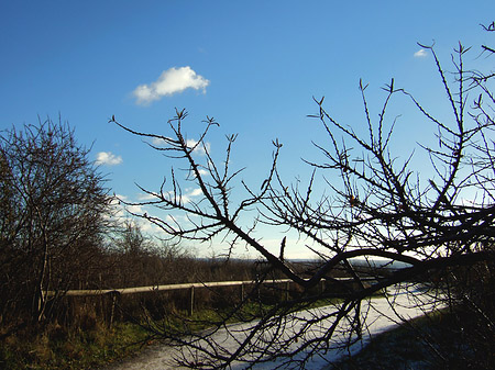 Fotos Weg
