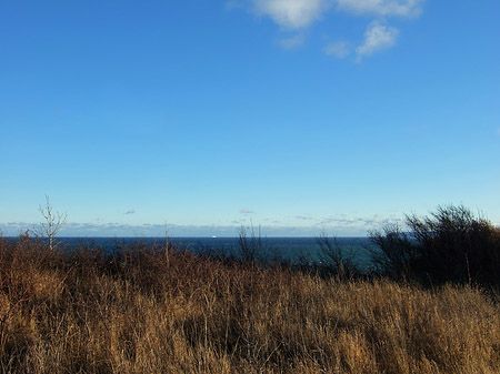 Fotos Wiese mit Meer