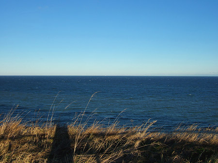 Fotos Wiese mit Meer