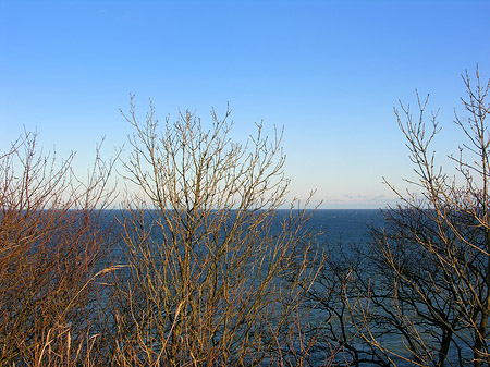 Foto Wiese mit Meer