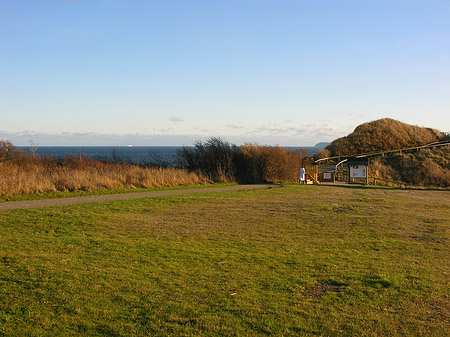 Wiese mit Meer