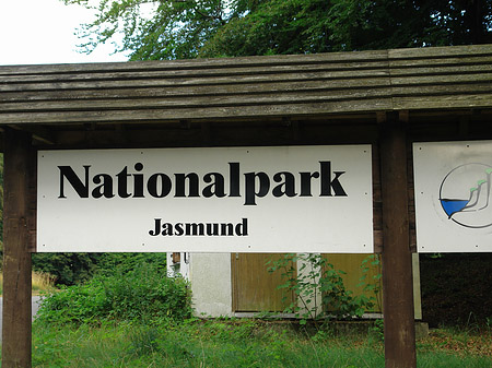 Foto Nationalpark Jasmund - Sassnitz