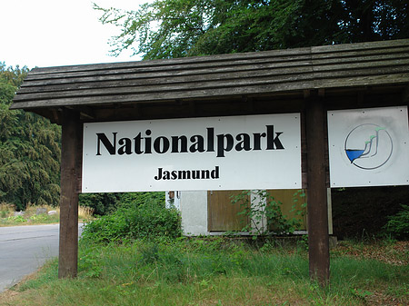 Nationalpark Jasmund Foto 