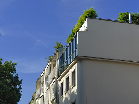 Breite Straße Fotos