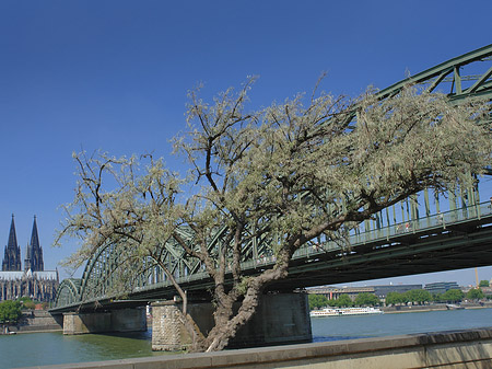 Fotos Hohenzollernbrücke am Kölner Dom | Köln