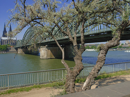 Foto Hohenzollernbrücke am Kölner Dom - Köln